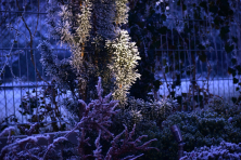 Krásy zimní zahrady, venkovní LED reflektor Elatus 
