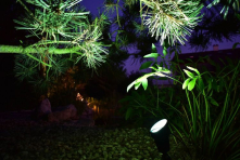 Zahradní LED reflektor Focus s barevným filtrem 